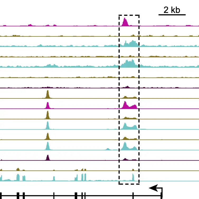 data from the lab shown in multicolored lines
