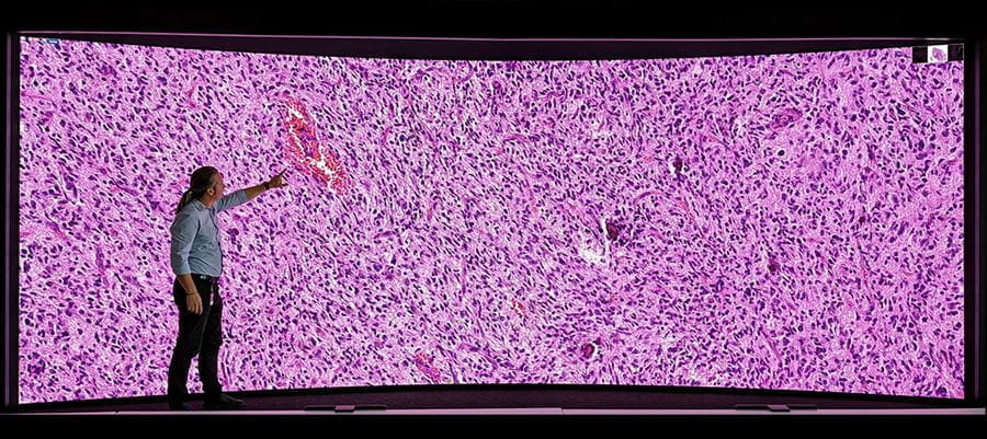 "A person standing in front of a large, curved digital screen displaying a detailed, magnified image of tissue in pink and purple hues, likely related to computational pathology or medical imaging. The individual is gesturing toward the screen, emphasizing a specific area of the image.