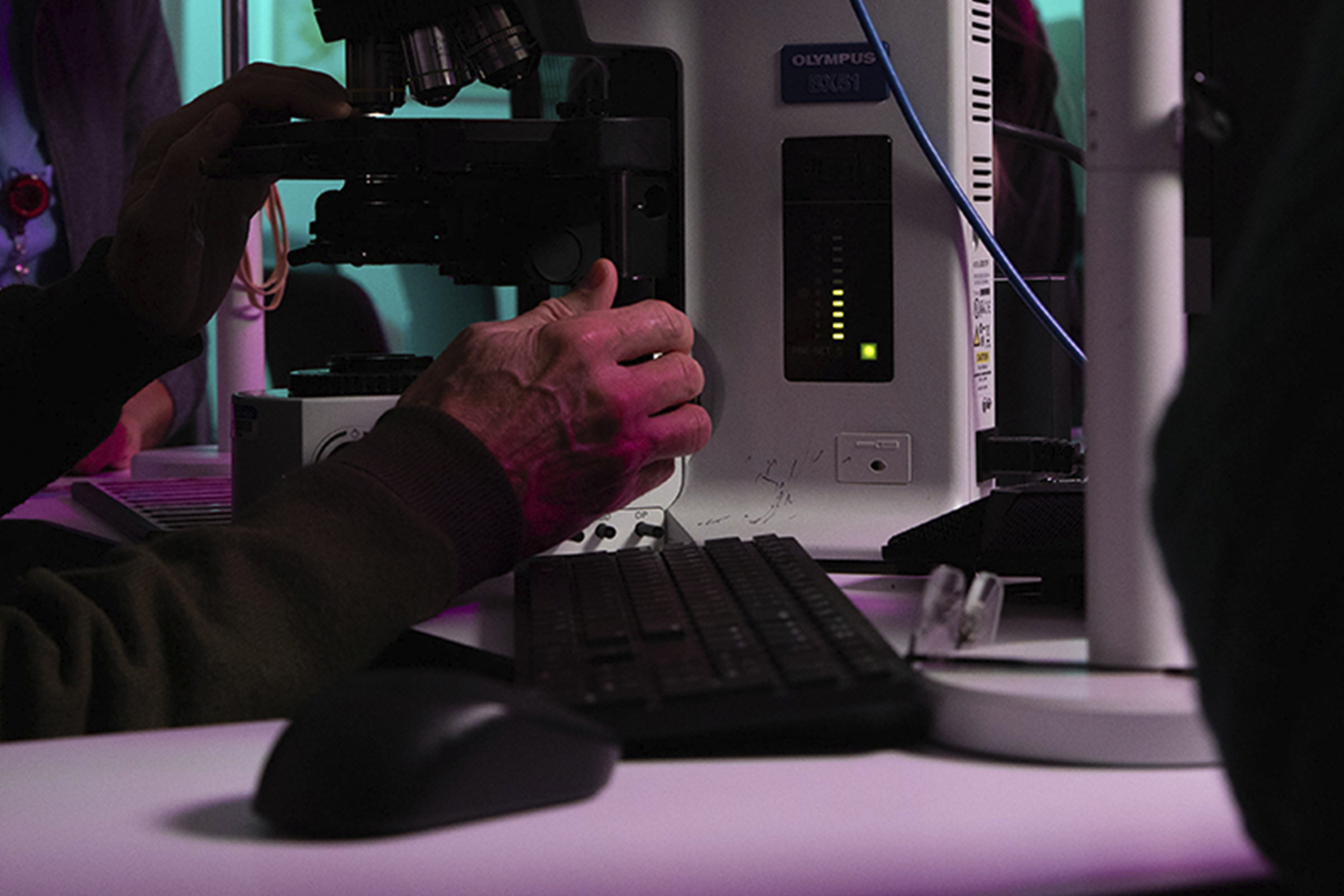 Close-up of a person's hands adjusting a microscope in a laboratory setting, illuminated by vibrant pink and green lighting, with a computer keyboard and mouse visible in the foreground.