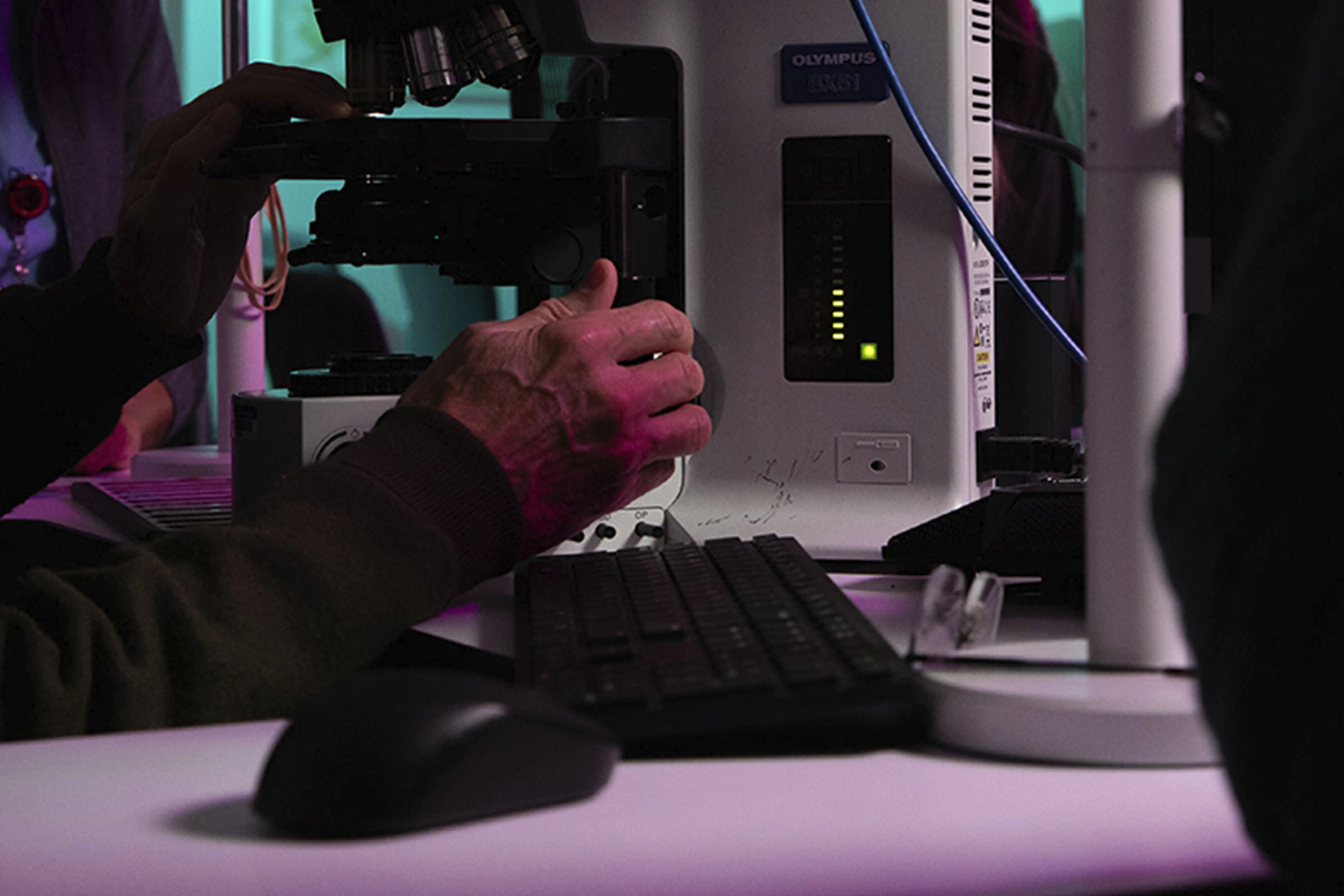 Close-up of a person's hands adjusting a microscope in a laboratory setting, illuminated by vibrant pink and green lighting, with a computer keyboard and mouse visible in the foreground.