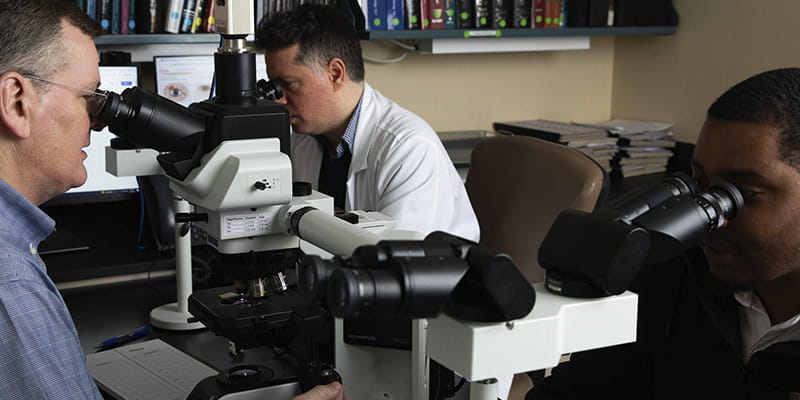Three pathology researchers looking at microscopes