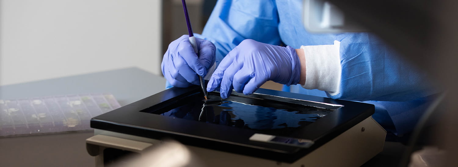 Pathology professional in gloved hands utilizing lab equipment