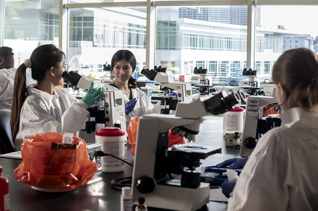 Diversity in a pathology lab