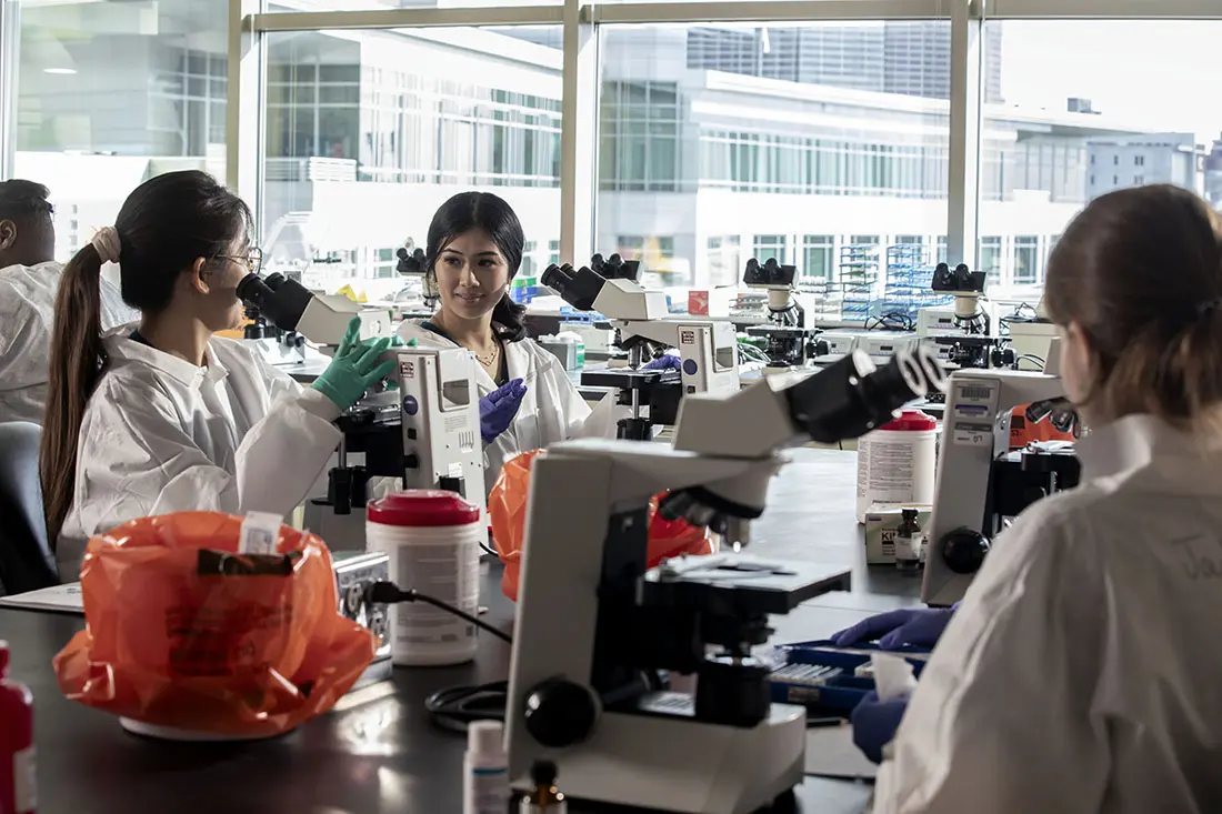 Diversity in a pathology lab