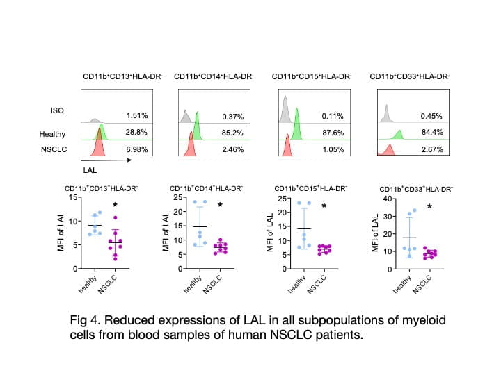 Graphs and flow cytometry plots showing reduced expression of lysosomal acid lipase (LAL) in myeloid cells from human NSCLC patients. Data compare subpopulations (e.g., CD11b+CD13+HLA-DR+) in healthy individuals versus NSCLC patients, with mean fluorescence intensity (MFI) values highlighted.