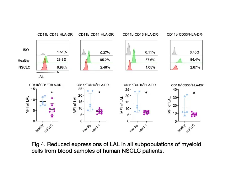 Graphs and flow cytometry plots showing reduced expression of lysosomal acid lipase (LAL) in myeloid cells from human NSCLC patients. Data compare subpopulations (e.g., CD11b+CD13+HLA-DR+) in healthy individuals versus NSCLC patients, with mean fluorescence intensity (MFI) values highlighted.
