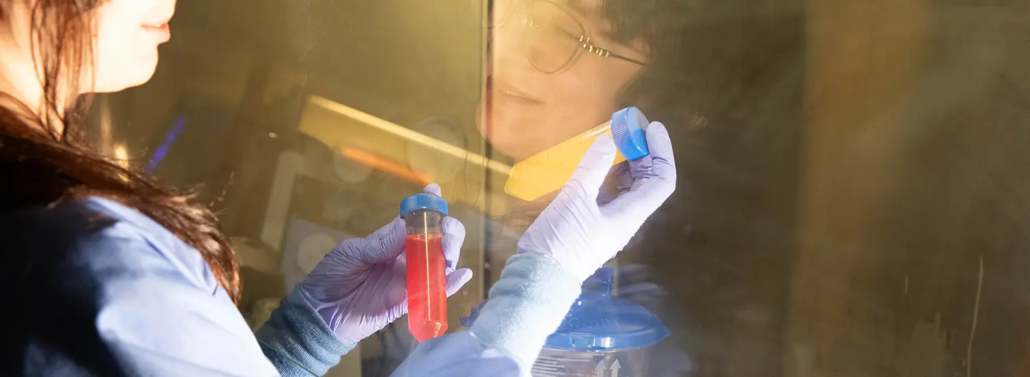 Lab professional looking at vials in a sunlight area
