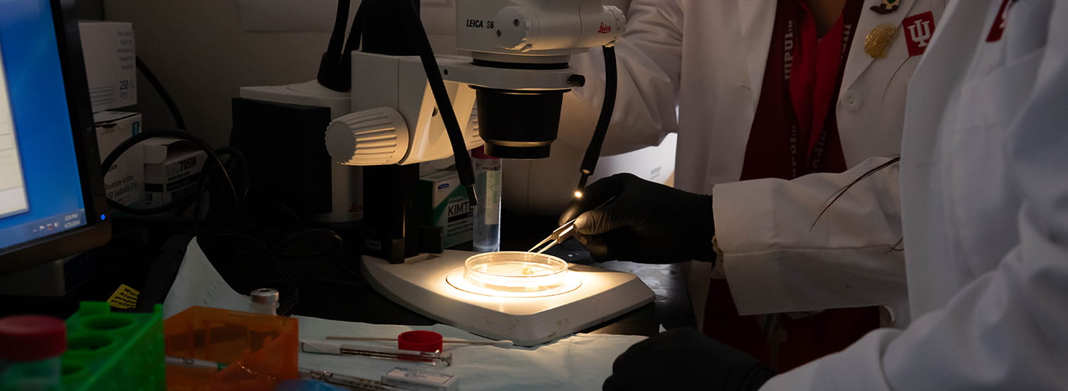 A researcher in a lab coat carefully uses tweezers to examine a sample under a high-powered microscope, illuminated on the stage for detailed study.
