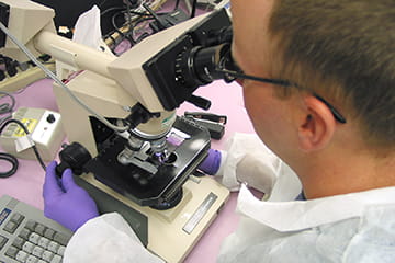 Pathology and Laboratory Medicine | IU School of Medicine