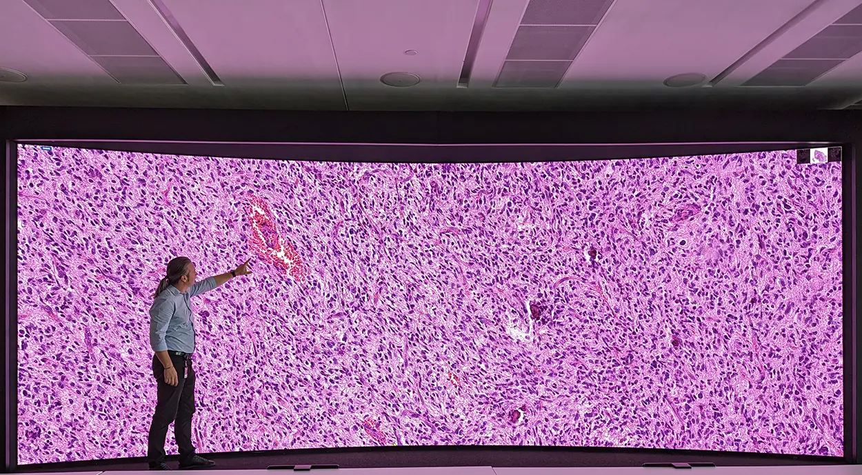 Dr Bakas standing in front of a wall-sized screen showing cells