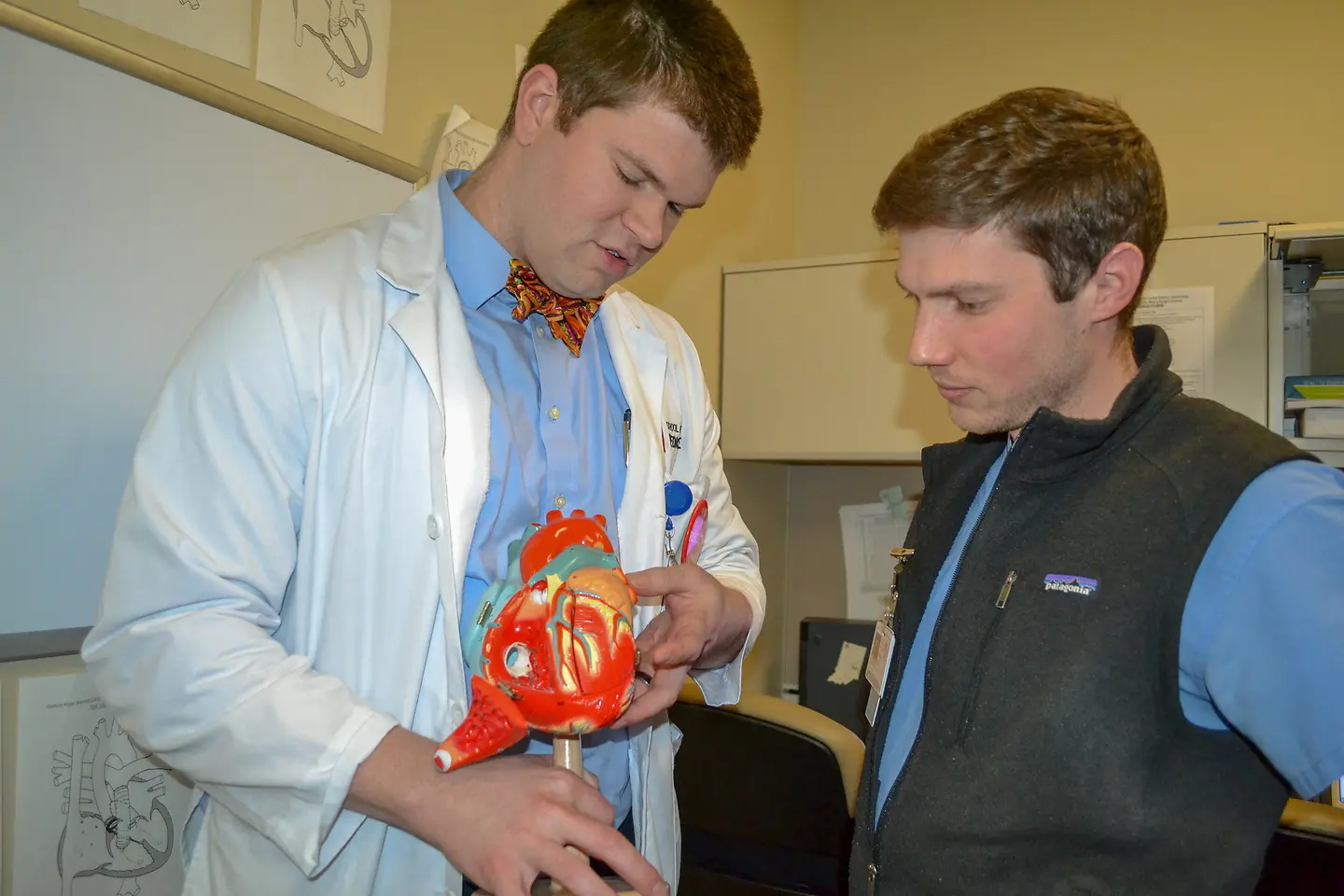 Medical students using a lab model of a heart
