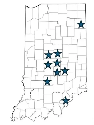 Map of the outline of the state of Indiana showing the 9 counties the American Rescue Plan Act Home and Community Based Services (HCBS) Stabilization Grant dollars from 2022 to 2025 were a part of