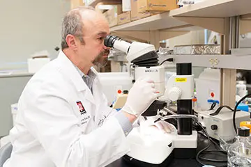 Pediatrics Research faculty conducting research with a microscope
