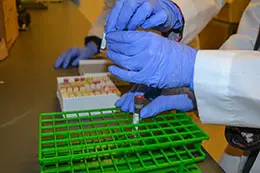 gloved hands holding a clinical research sample tube
