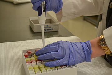 Gloved hands pipetting samples in a lab.