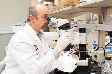 Doctor looking through a microscope