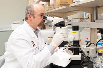 Doctor looking through a microscope