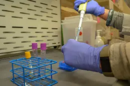 Research