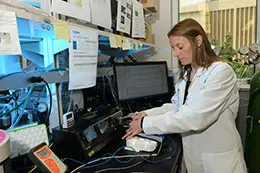 A provider is working on a computer in a lab coat