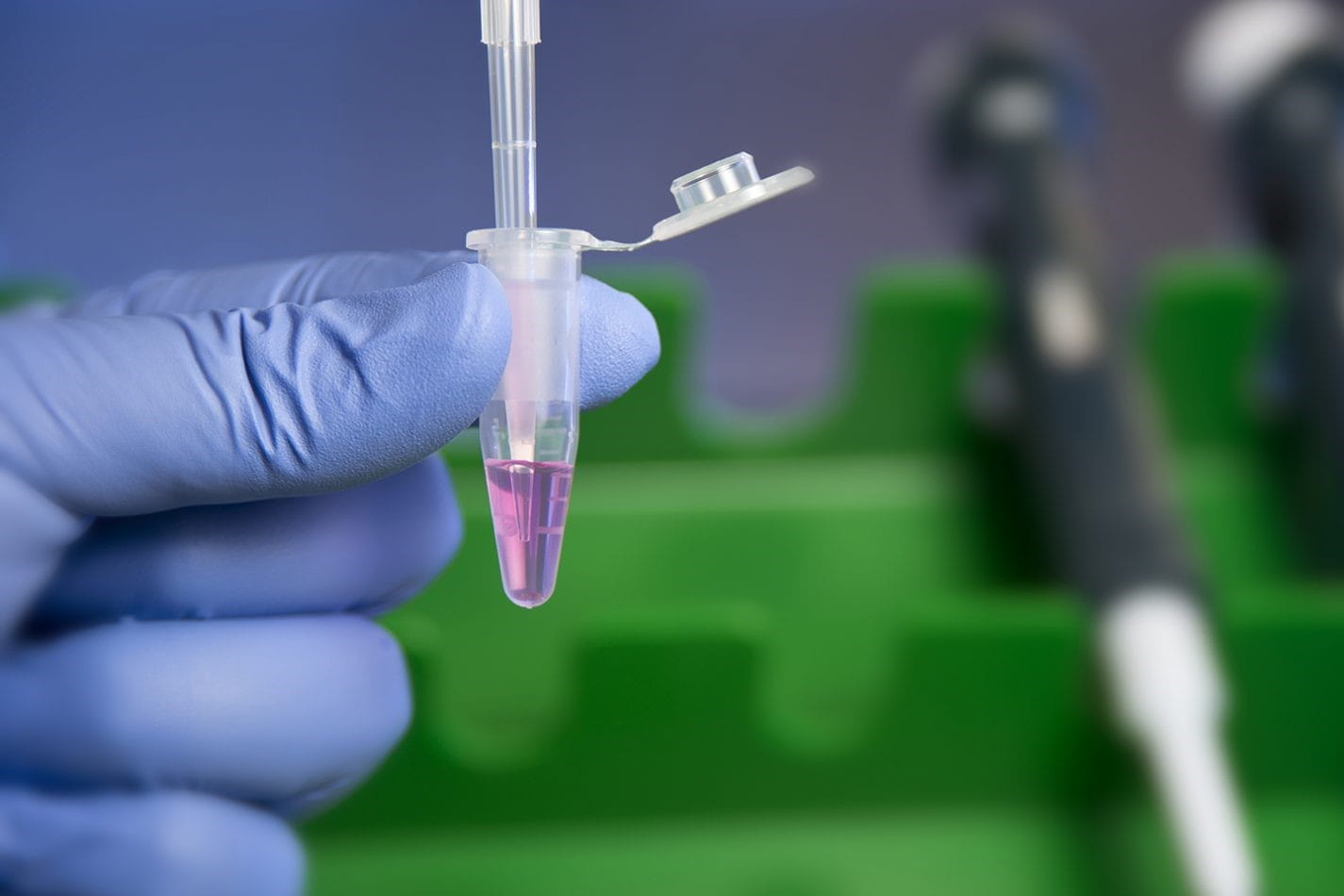 gloved hand holding a sample in the lab