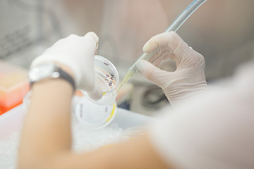 Cancer Research