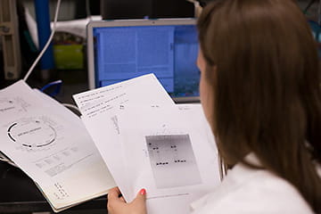 Back of a person's head reviewing papers