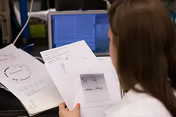 Back of a person's head reviewing papers
