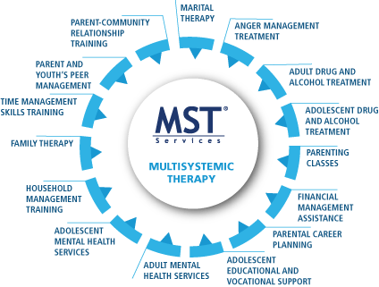 MST Wheel of Services