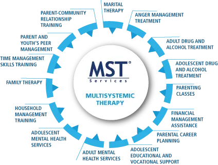 MST Wheel of Services