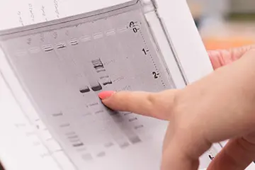 a close up shot of a hand pointing at dna results on a printed paper