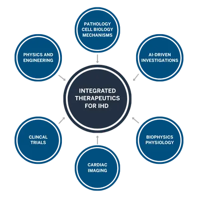 A graphic with one dark blue bubble reading "Integrated Therapeutics for IHD", with six lighter blue bubbles with arrows pointing reading "Physics and Engineering," "Pathology Cell Biology Mechanisms," "AI-Driven Investigations," "Clinical Trials," "Cardiac Imaging," and "Biophysics Physiology"