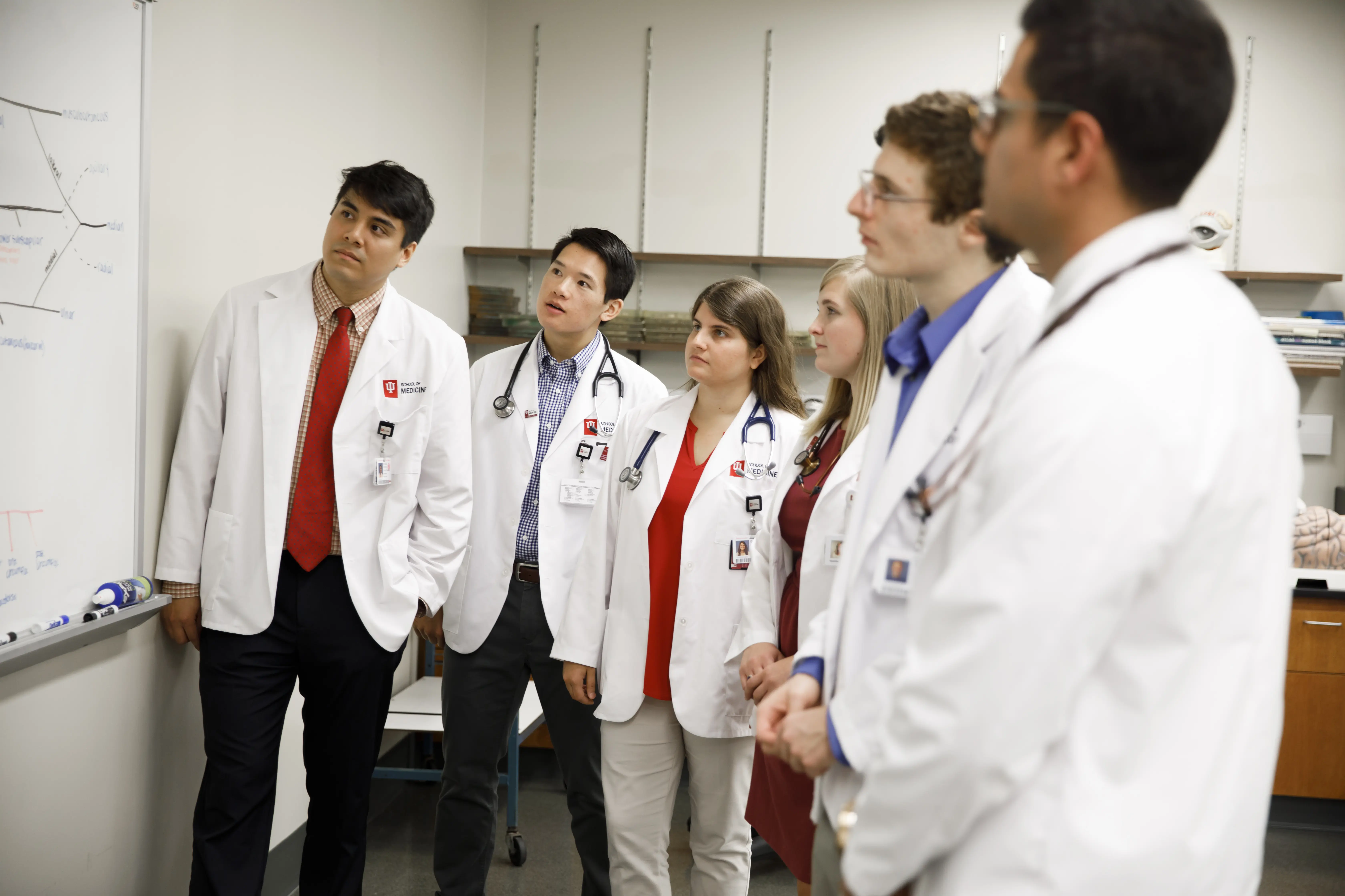 A group of medical students study a whiteboard.