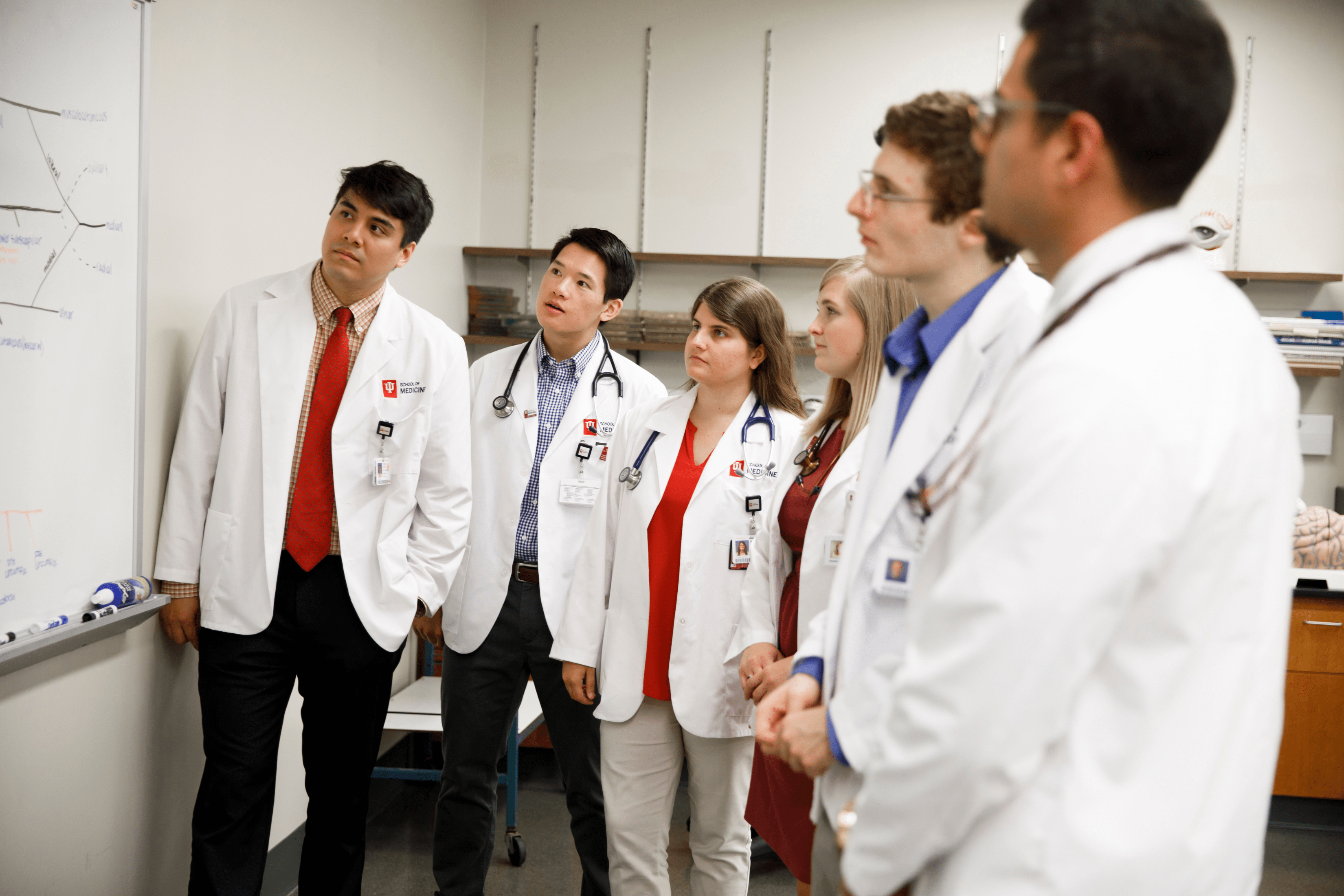 A group of medical students study a whiteboard.