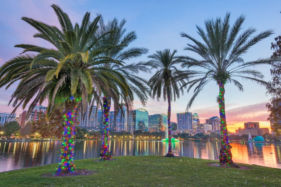 Palm trees covered in multi-colored lights against a backdrop of a river-side city.