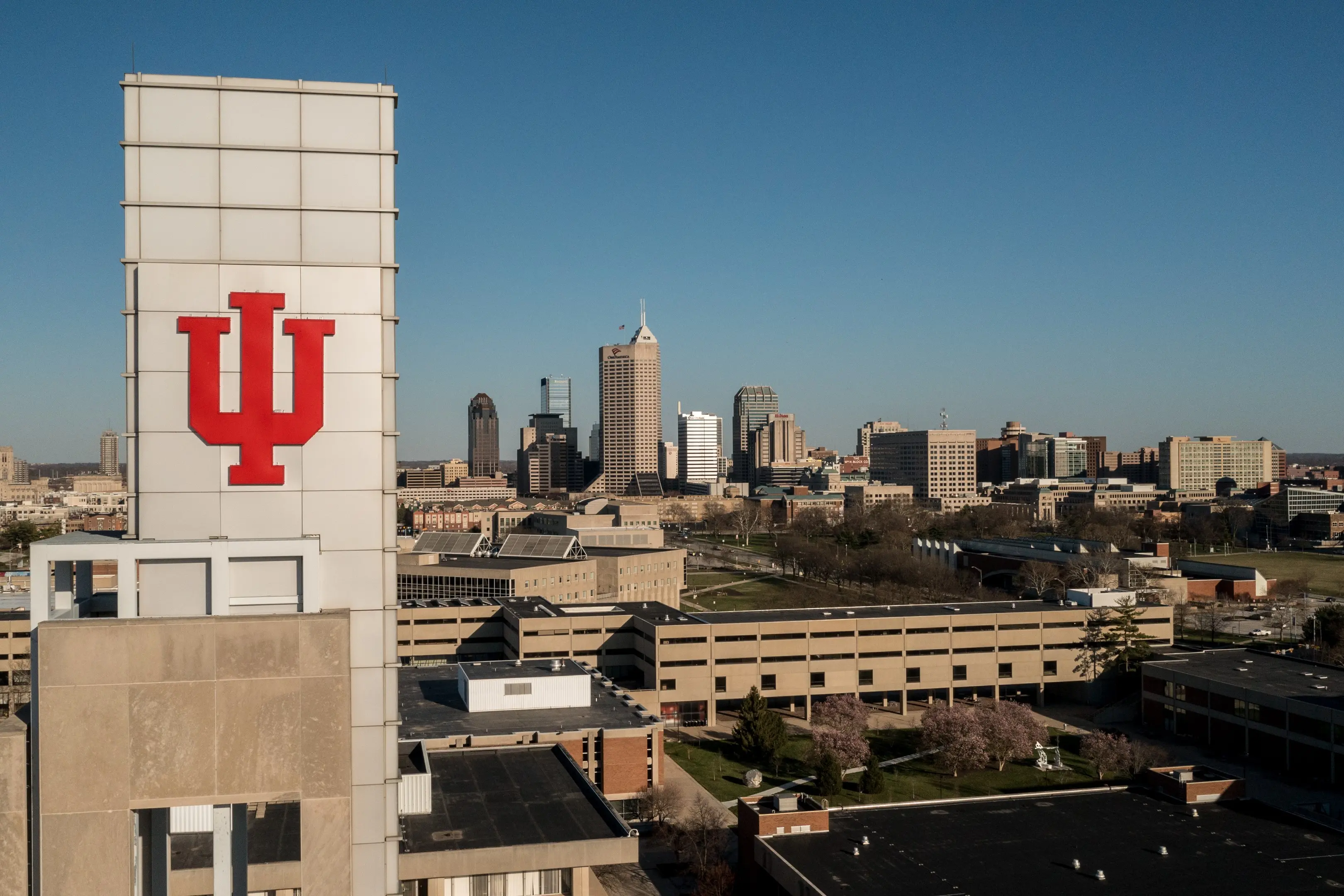 Indianapolis skyline seen from campus
