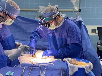 Photo of Dr. Lutz in the operating room performing a surgery