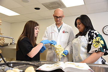 Medical Students with teacher looking at a model in front of a book in Muncie IN