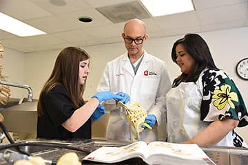 Medical Students with teacher looking at a model in front of a book in Muncie IN