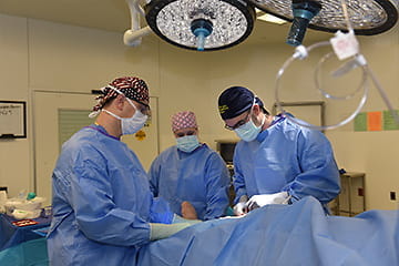 Subspecialty Fellowship surgery