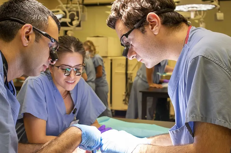 Surgery Intern Surgery Fellowships | IU School of Medicine