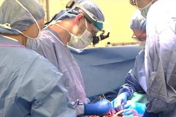 Thoracic surgeons performing a surgery