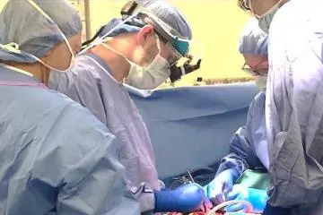 Thoracic surgeons performing a surgery 