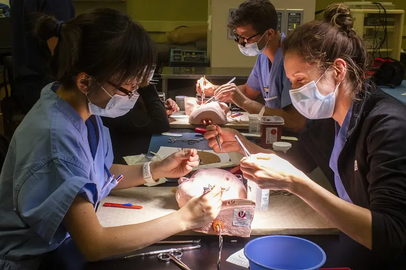 Residents practice an ear procedure on a model of a human head during a simulation lab