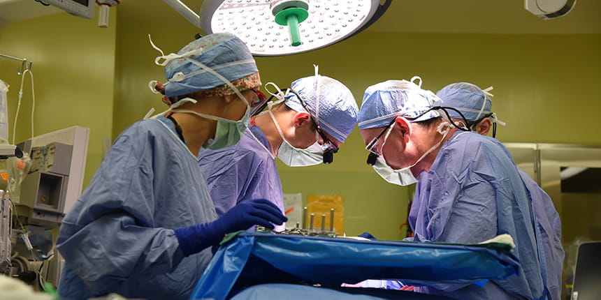 Pediatric Neurology Clinical Care