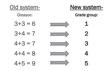 Prostate Cancer Grades