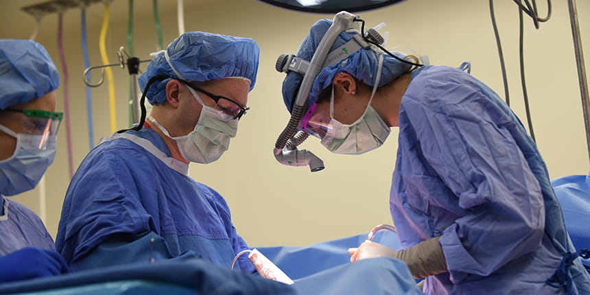 Reconstructive Urology Clinical Care