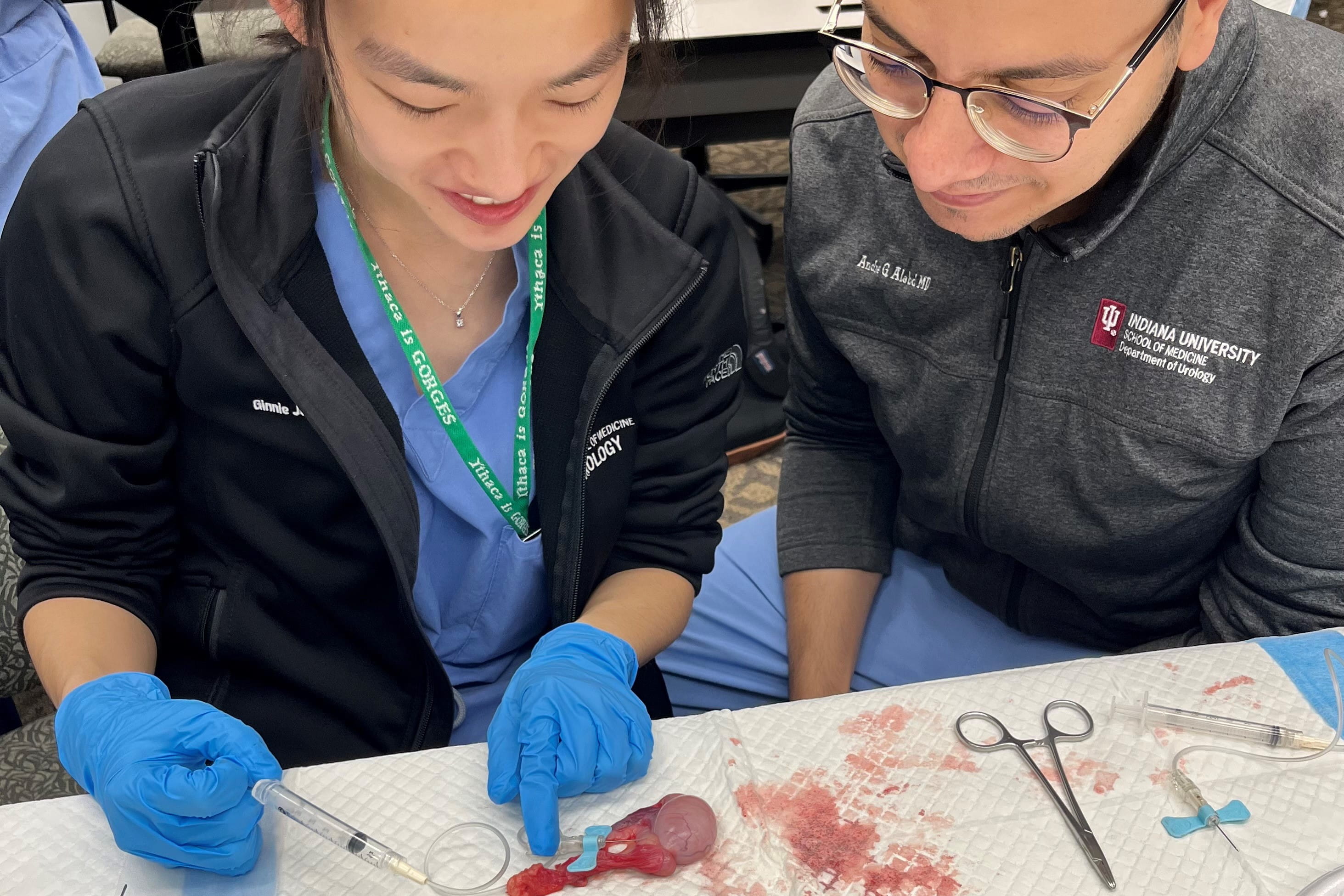 two residents examine a testicle sample in surgical skills lab