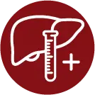Icon of a liver with a test tube and plus sign