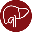 Icon of a liver