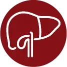 Icon of a liver